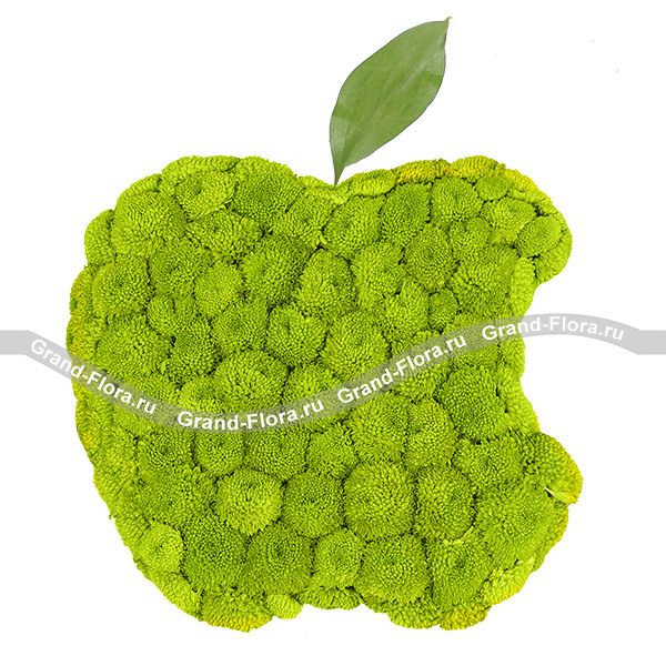 Apple - композиция на оазисе из кустовых хризантем