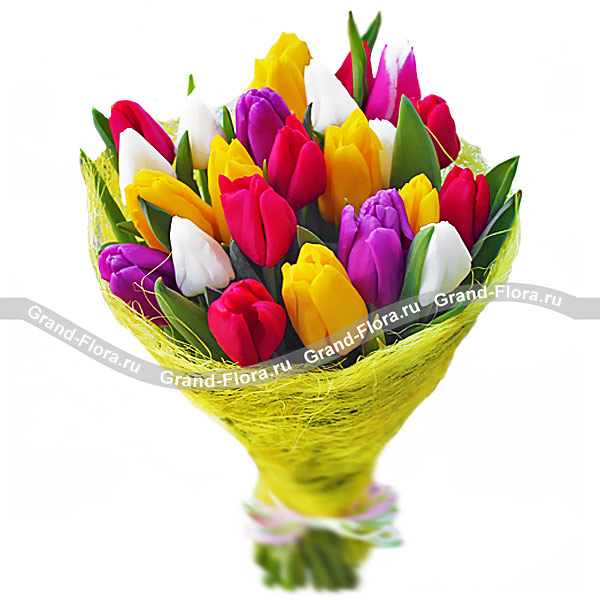 25 тюльпанов "Разноцветные"
